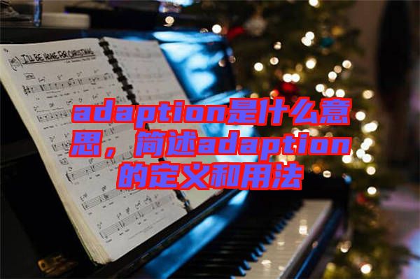 adaption是什么意思，簡(jiǎn)述adaption的定義和用法