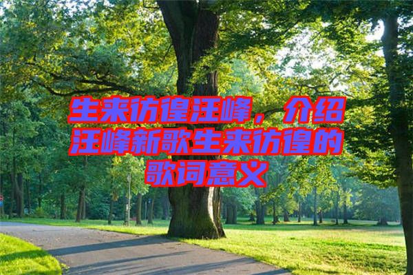 生來(lái)彷徨汪峰，介紹汪峰新歌生來(lái)彷徨的歌詞意義