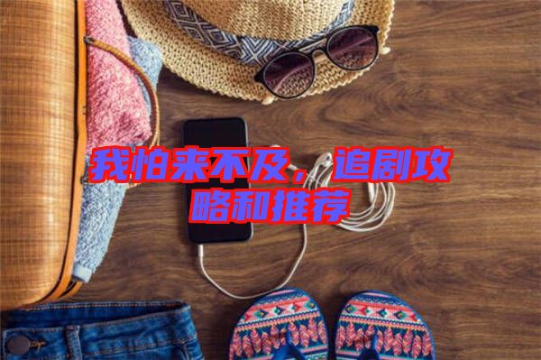 我怕來(lái)不及，追劇攻略和推薦