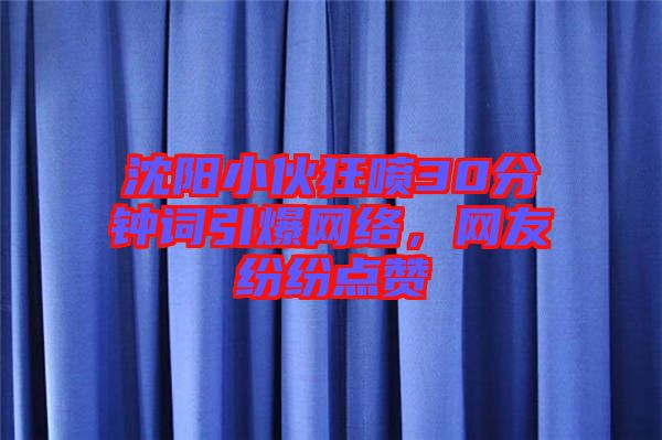 沈陽(yáng)小伙狂噴30分鐘詞引爆網(wǎng)絡(luò)，網(wǎng)友紛紛點(diǎn)贊