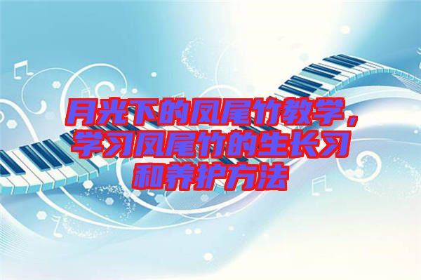 月光下的鳳尾竹教學，學習鳳尾竹的生長習和養(yǎng)護方法