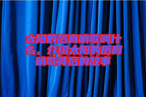 太陽的后裔哨歌叫什么，介紹太陽的后裔哨歌背后的故事