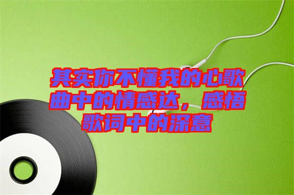 其實(shí)你不懂我的心歌曲中的情感達(dá)，感悟歌詞中的深意