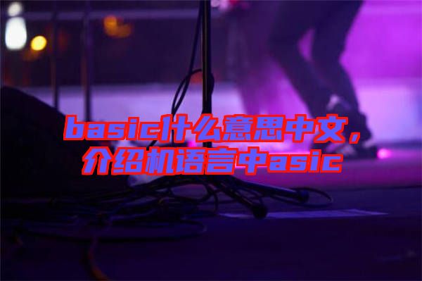 basic什么意思中文，介紹機語言中asic