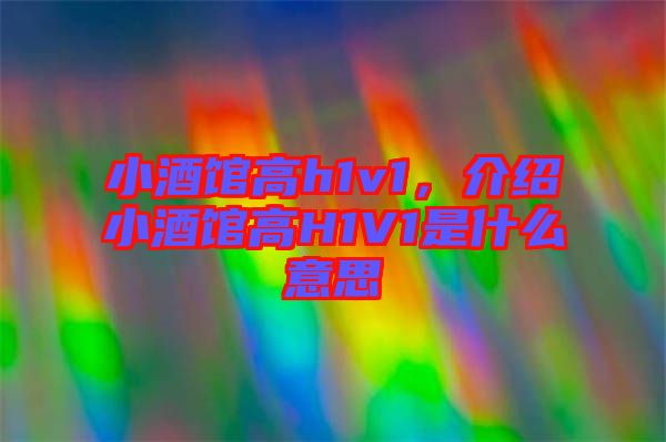 小酒館高h(yuǎn)1v1，介紹小酒館高H1V1是什么意思