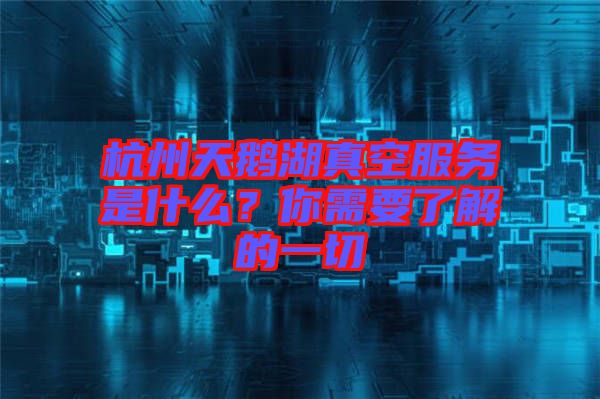 杭州天鵝湖真空服務是什么？你需要了解的一切