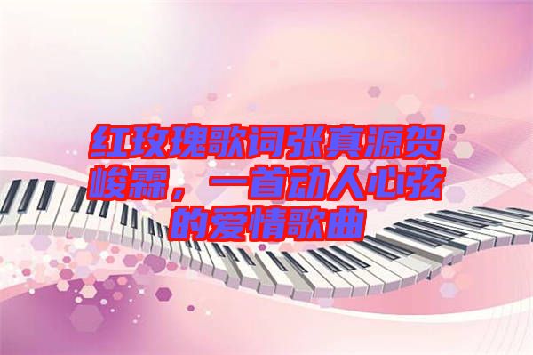 紅玫瑰歌詞張真源賀峻霖，一首動(dòng)人心弦的愛(ài)情歌曲