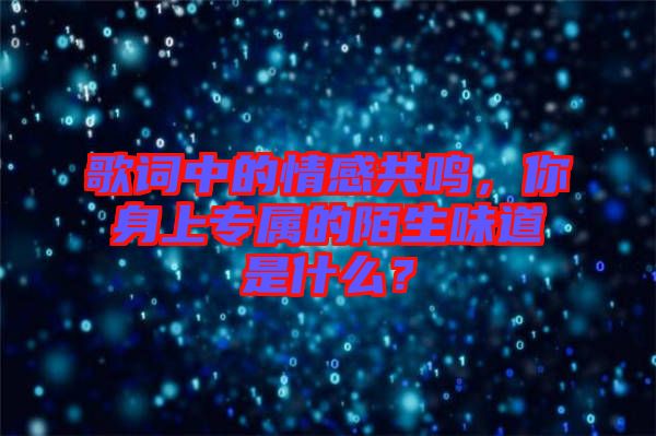 歌詞中的情感共鳴，你身上專屬的陌生味道是什么？