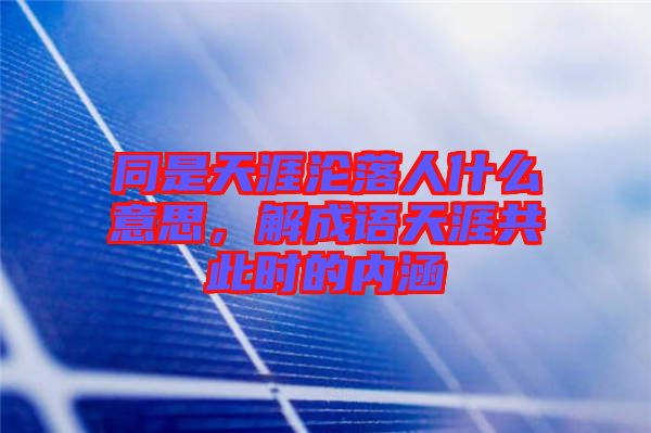同是天涯淪落人什么意思，解成語天涯共此時的內(nèi)涵