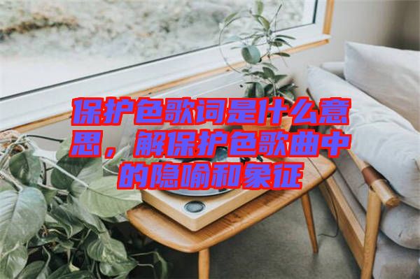 保護色歌詞是什么意思，解保護色歌曲中的隱喻和象征