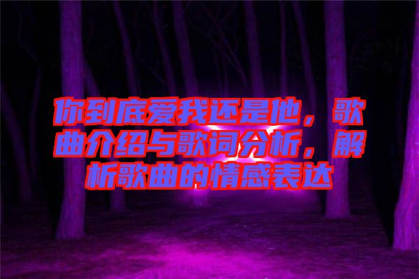 你到底愛我還是他，歌曲介紹與歌詞分析，解析歌曲的情感表達(dá)