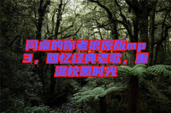 同桌的你老狼原版mp3，回憶經(jīng)典老歌，重溫校園時(shí)光