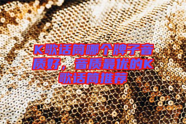 K歌話筒哪個(gè)牌子音質(zhì)好，音質(zhì)最優(yōu)的K歌話筒推薦