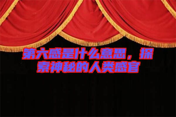 第六感是什么意思，探索神秘的人類感官