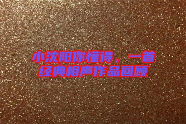 小沈陽你懂得，一首經(jīng)典相聲作品回顧