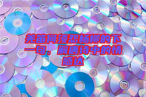 羌笛何須怨楊柳的下一句，解唐詩中的情感達(dá)