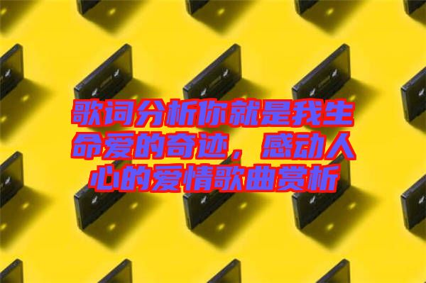 歌詞分析你就是我生命愛的奇跡，感動人心的愛情歌曲賞析