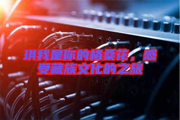 琪我是你的格?；?，感受藏族文化的之旅
