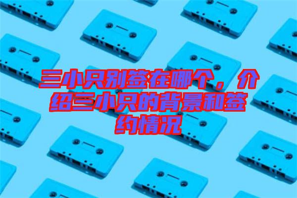 三小只別簽在哪個，介紹三小只的背景和簽約情況