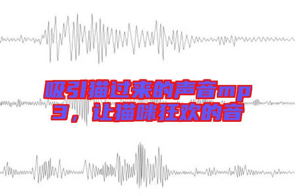 吸引貓過來的聲音mp3，讓貓咪狂歡的音