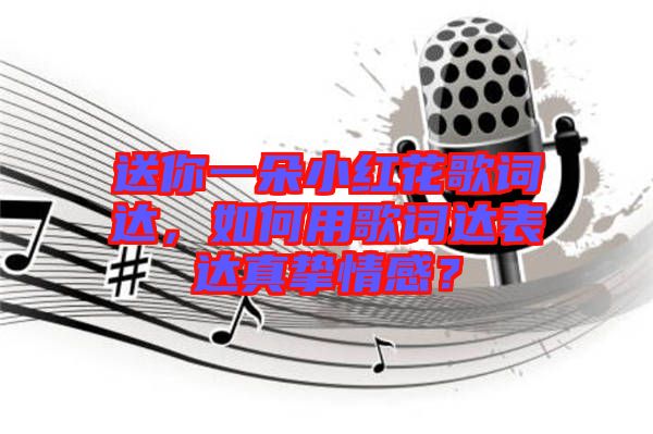 送你一朵小紅花歌詞達(dá)，如何用歌詞達(dá)表達(dá)真摯情感？