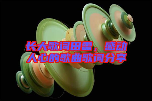 長大歌詞田雷，感動人心的歌曲歌詞分享