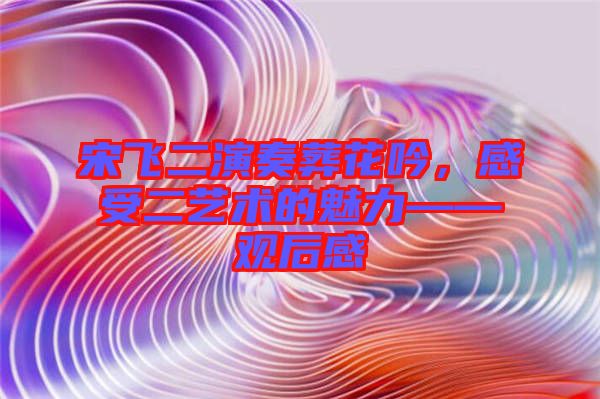 宋飛二演奏葬花吟，感受二藝術(shù)的魅力——觀后感