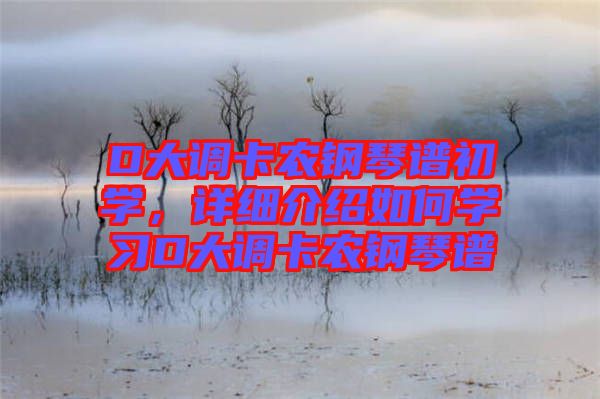 D大調(diào)卡農(nóng)鋼琴譜初學(xué)，詳細(xì)介紹如何學(xué)習(xí)D大調(diào)卡農(nóng)鋼琴譜