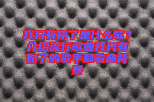 我只有你了是什么歌？介紹流行歌曲我只有你了的歌手和歌曲背景
