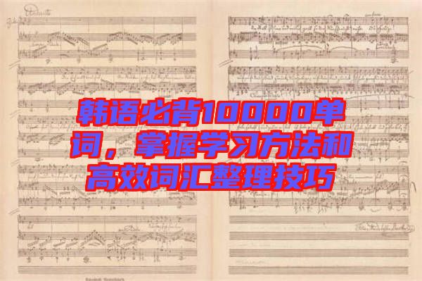 韓語必背10000單詞，掌握學(xué)習(xí)方法和高效詞匯整理技巧