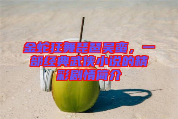 金蛇狂舞琵琶吳蠻，一部經(jīng)典武俠小說的精彩劇情簡介
