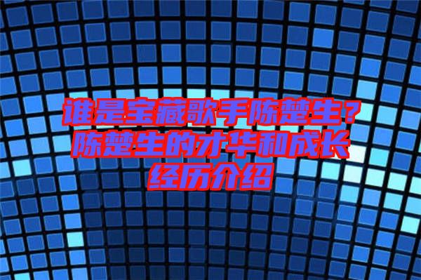 誰是寶藏歌手陳楚生？陳楚生的才華和成長經(jīng)歷介紹