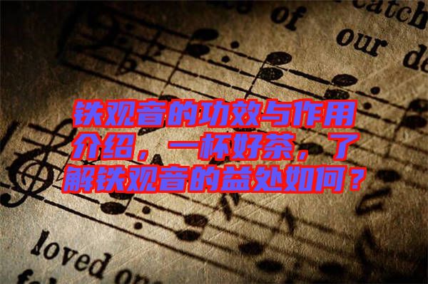 鐵觀音的功效與作用介紹，一杯好茶，了解鐵觀音的益處如何？