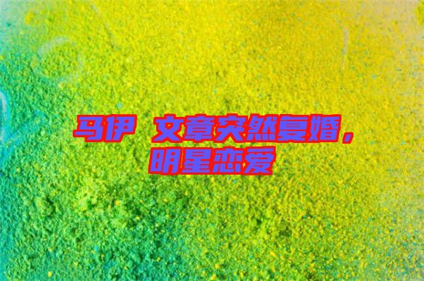 馬伊琍文章突然復婚，明星戀愛