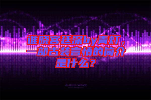 誰曉宮廷深by青燈，一部古裝言情的簡介是什么？