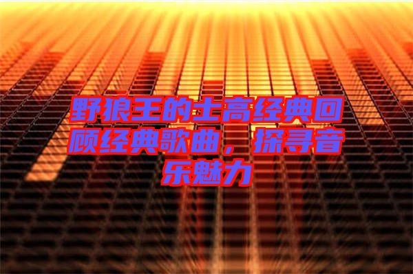 野狼王的士高經(jīng)典回顧經(jīng)典歌曲，探尋音樂(lè)魅力