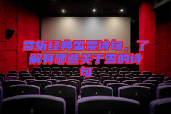 賞析經(jīng)典雪景詩句，了解有哪些關于雪的詩句