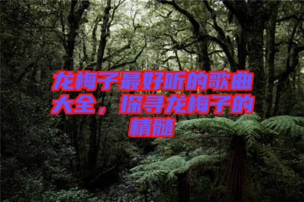 龍梅子最好聽(tīng)的歌曲大全，探尋龍梅子的精髓