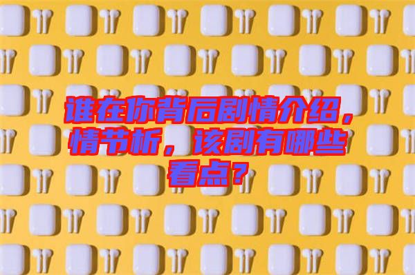 誰在你背后劇情介紹，情節(jié)析，該劇有哪些看點(diǎn)？