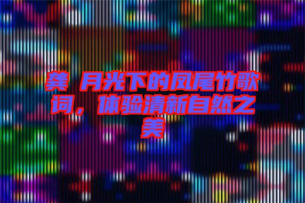 龔玥月光下的鳳尾竹歌詞，體驗(yàn)清新自然之美