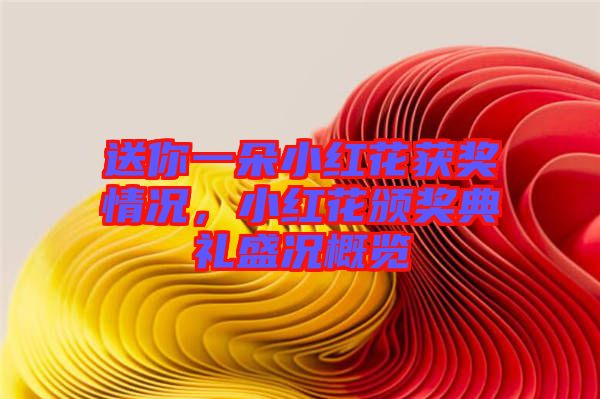 送你一朵小紅花獲獎(jiǎng)情況，小紅花頒獎(jiǎng)典禮盛況概覽