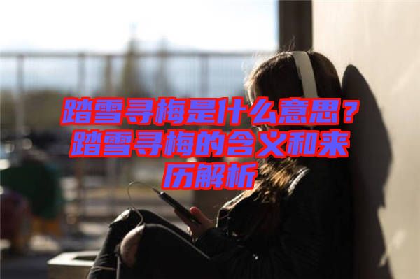 踏雪尋梅是什么意思？踏雪尋梅的含義和來(lái)歷解析