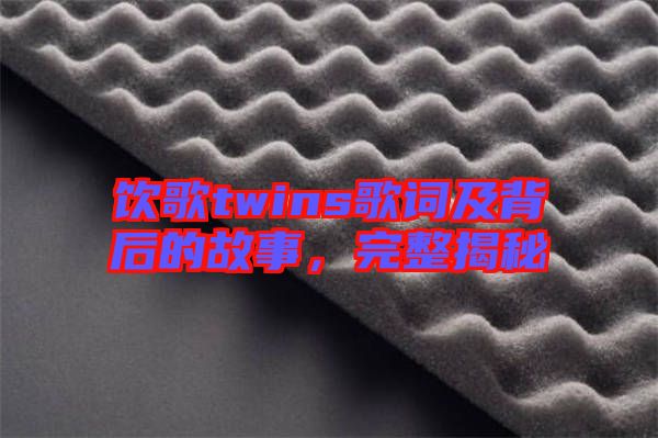 飲歌twins歌詞及背后的故事，完整揭秘