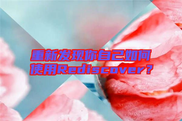 重新發(fā)現(xiàn)你自己如何使用Rediscover？