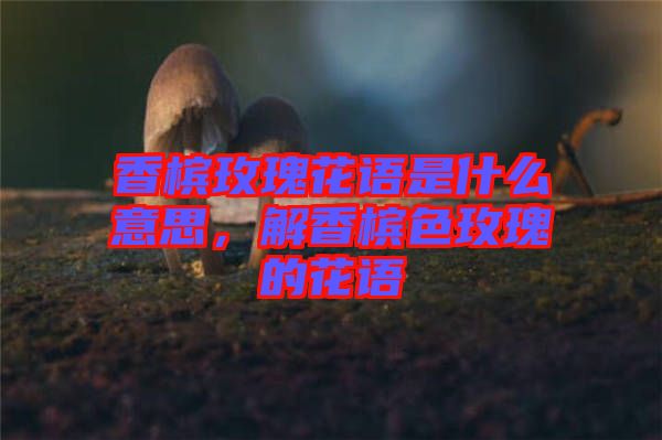 香檳玫瑰花語是什么意思，解香檳色玫瑰的花語