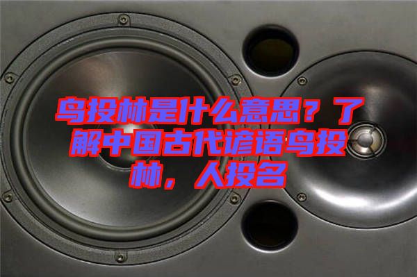 鳥投林是什么意思？了解中國古代諺語鳥投林，人投名