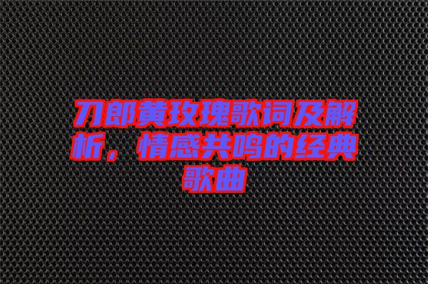 刀郎黃玫瑰歌詞及解析，情感共鳴的經(jīng)典歌曲
