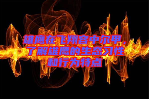 雄鷹在飛翔容中爾甲，了解雄鷹的生態(tài)習(xí)性和行為特點