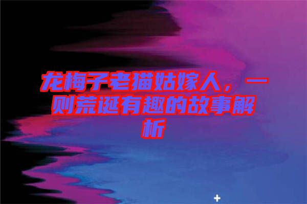 龍梅子老貓姑嫁人，一則荒誕有趣的故事解析