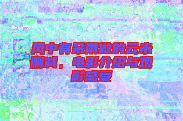 風中有朵雨做的云未刪減，電影介紹與觀影感受